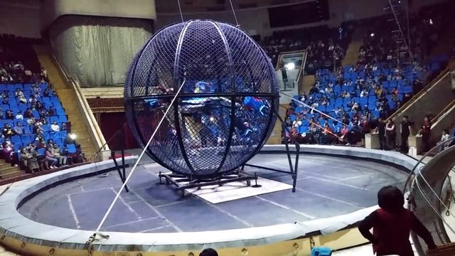 Колумбийский форсаж в Ташкентском цирке смотреть онлайн