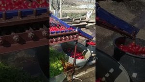 Изготавливаем сеялки и машинки для чистки редиски.Видео от покупателей и подписчиков.