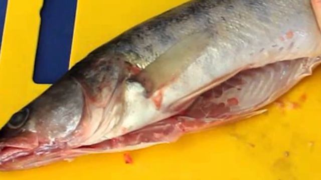 Как правильно жарить рыбу, что бы все ахнули от восторга. смотреть онлайн