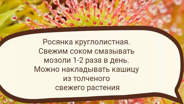 Избавляемся от мозолей смотреть онлайн