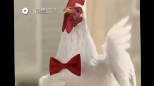 Китайская Реклама/Петухи поют