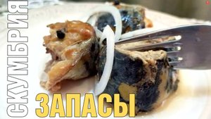 СКУМБРИЯ ТОМЛЕНАЯ В МАСЛЕ без автоклава, даже косточки растворяются. Дешевле магазинной в три раза!