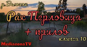 Русская Рыбалка 4 Где Клюет ? р.Вьюнок  Рак Перловица + прилов 12.11