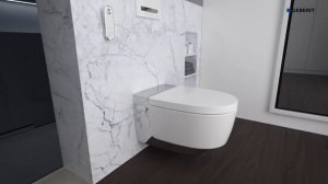 Geberit AquaClean Mera Classic - как удалить известковый налет.mp4