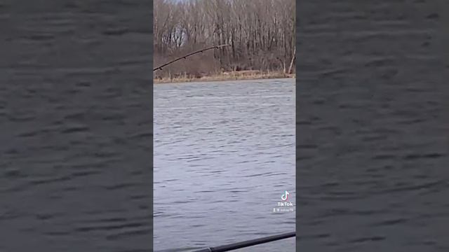 Рыбалка на фидер река Томь/Fishing on the feeder river Tom