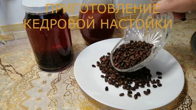 КЕДРОВАЯ НАСТОЙКА. ПРИМЕНЕНИЕ В НАРОДНОЙ МЕДИЦИНЕ.