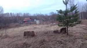 # Первый раз на дачу 2024 #