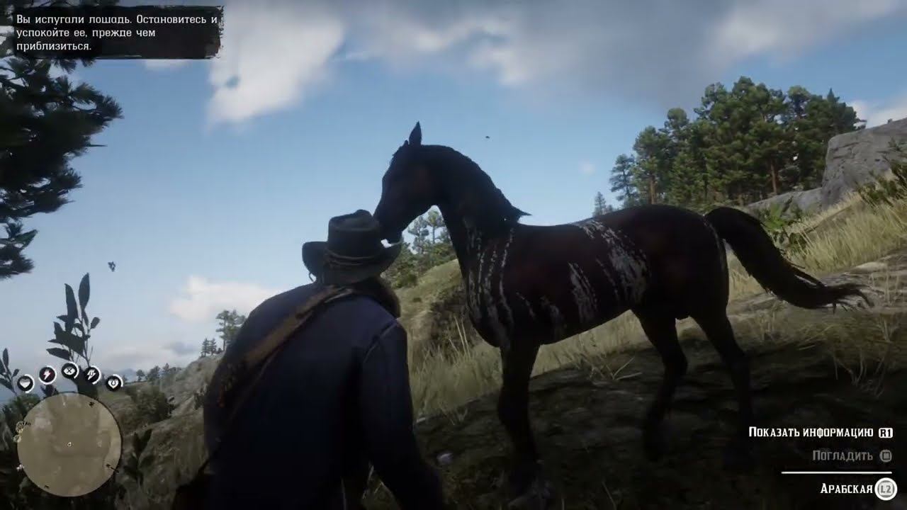 Черная (тигровая) арабская лошадь в Red Dead Redemption 2. Где найти?
