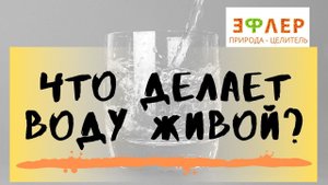 КАК ОЖИВИТЬ ВОДУ, восстановить её ПОЛЬЗУ? ДИСТИЛЛЯТ. ГЕНЕРАТОР ВОДОРОДА. ПОСЛЕ ТЕРМООБРАБОТКИ.