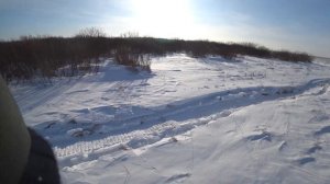 2 зайца на компанию. Много или мало? Охота на зайца загоном. 2 hares. Hare hunting by corral.