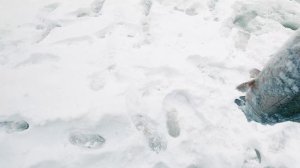 Зимняя Рыбалка на Форель Удалась! Ловим форель на резину и пасту!