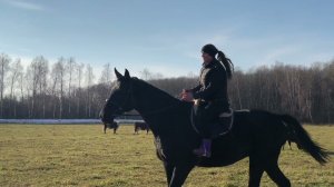 Будни молодожёнов на ферме