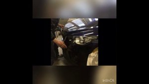 Кузовной ремонт: последствия птичьего помета и их устранение.