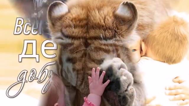 Песенка Фунтика про доброту смотреть онлайн