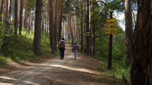 Тальков камень