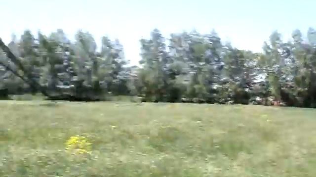 травка в Суздале смотреть онлайн