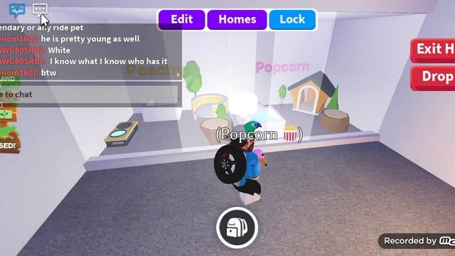 (New PetShop and New Bird gang rooms) Roblox adopt me!! смотреть онлайн