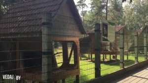 Каменюки - Туристическая часть Беловежской Пущи