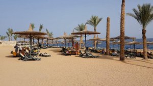 Reef Oasis Blue Bay Resort&Spa #пляж#Шарм Аль Шейх