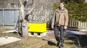 Улей лежак. (про мед#1)