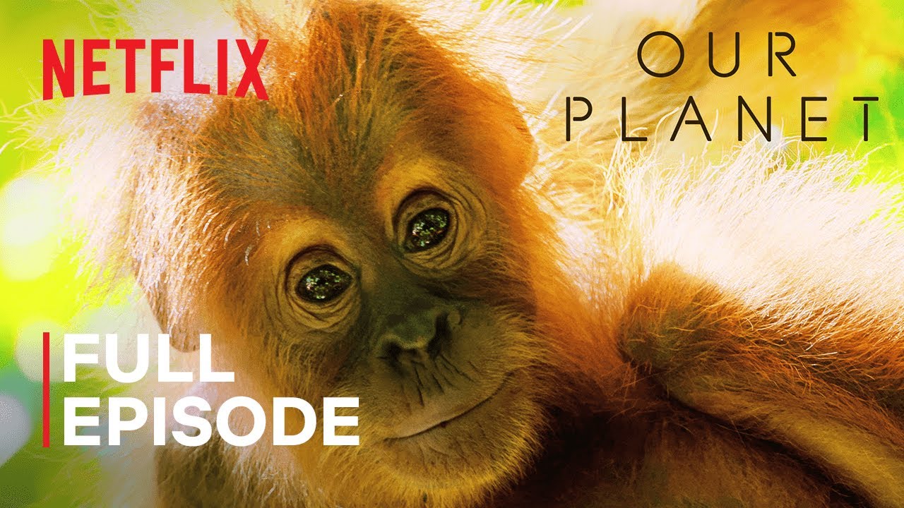 Наша Планета ⁄ Our Planet ⁄ Джунгли⁄ Netflix