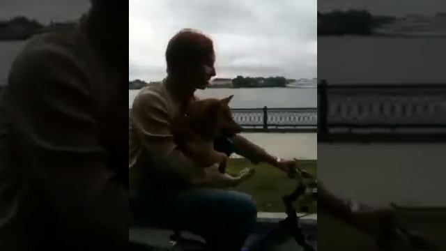 Велосипедная прогулка смотреть онлайн