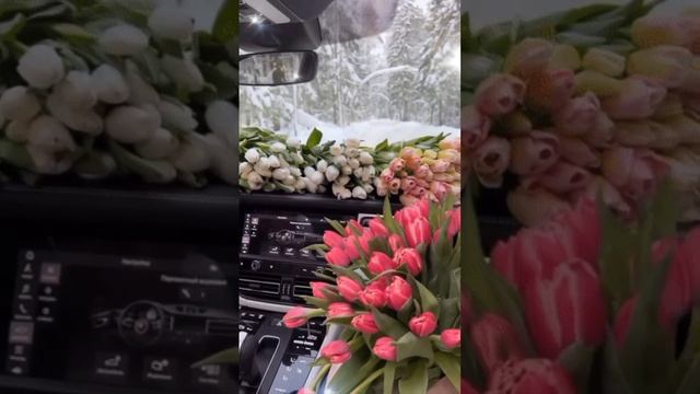 Девчонки с праздником 8 марта!!