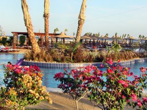 Египет. Шарм-эль-Шейх. Отель Coral Sea Holiday Resort 5*.