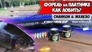 ФОРЕЛЬ на платнике осенью. Как поймать форель в сильный ветер. Ловля форели на платниках Парус Юг.