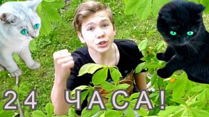 24 ЧАСА КОШКИ РУКОВОДЯТ моей ЖИЗНЬЮ. КОШКИ ЗАЖИГАЮТ!!! ЧЕЛЛЕНДЖ