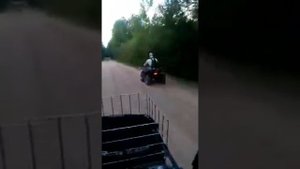 Reggy warrior(регги варриор)110