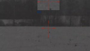 Ночная охота. Лиса. Калибр 366 ткм. Прицел Pulsar digisight ultra n455lrf