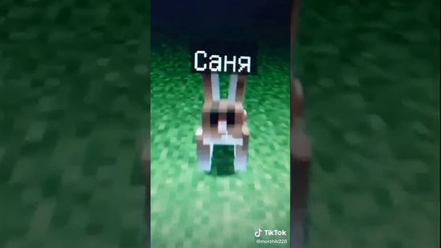 Имя животное 2 часть