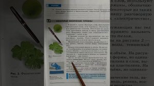 7 класс. Физика. Учебник. Читаем онлайн. Параграф 2. Перышкин.
