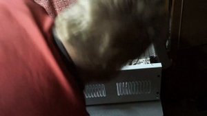 обзор пуска зарядного устройства BRAIT BC-630SM