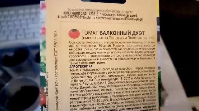 Пикирую Помидоры Сорта "??? ПИНОКИО и ЗОЛОТАЯ ВИШНЯ" для Выращивания на ПОДОКОННИКЕ. 2.2.2023г.?? смотреть онлайн
