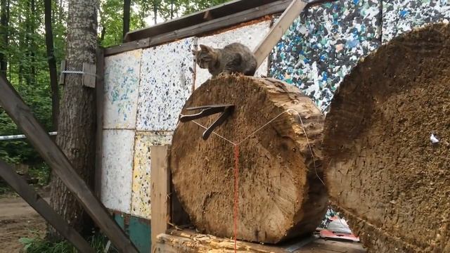 Метание ножей, ВАУ подарочные сертификаты, Актив тайм смотреть онлайн