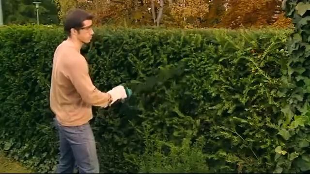 Bosch AHS 48 / 52 LI Foarfece de taiat gard viu cu acumulator смотреть онлайн