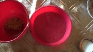 Рецепт. Домашние диетические пельмени / вареники по Дюкану