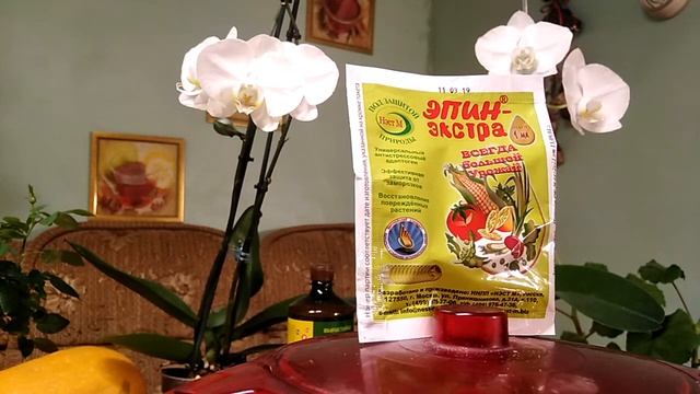 "СТИМУЛЯТОР" Эпин Экстра смотреть онлайн