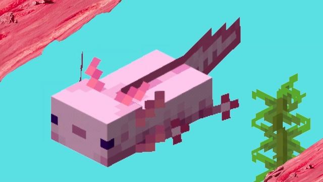 Розовый аксолотль в майнкрафте меняет цвета. Фон для видео. Футаж майнкрафт смотреть онлайн