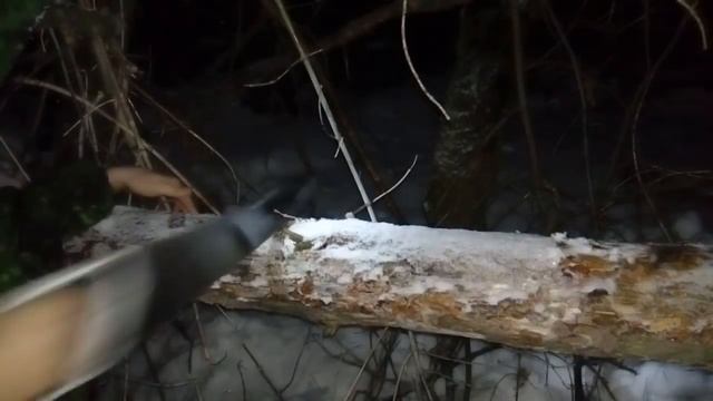 Три дня в зимнем лесу