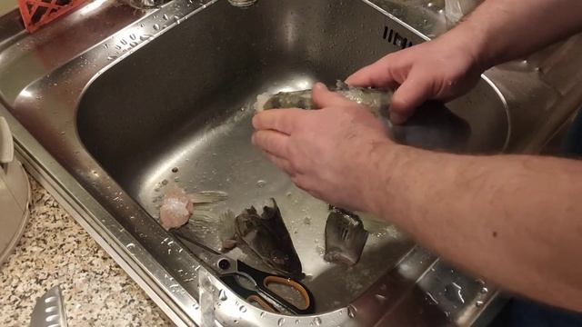 Легко и быстро как почистить судака от чешуи дома в домашних условиях