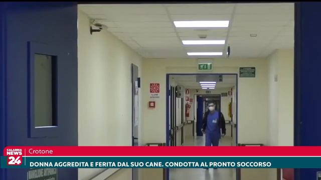 Crotone: Donna aggredita e ferita dal suo cane. Condotta in pronto soccorso смотреть онлайн