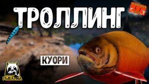 РР4/ рыбалка для души, ловим как универсал, общаемся 17.12.23