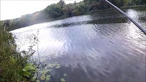 Ловля щуки на джиг, поведение щуки  Выбор цвета и огрузки приманок