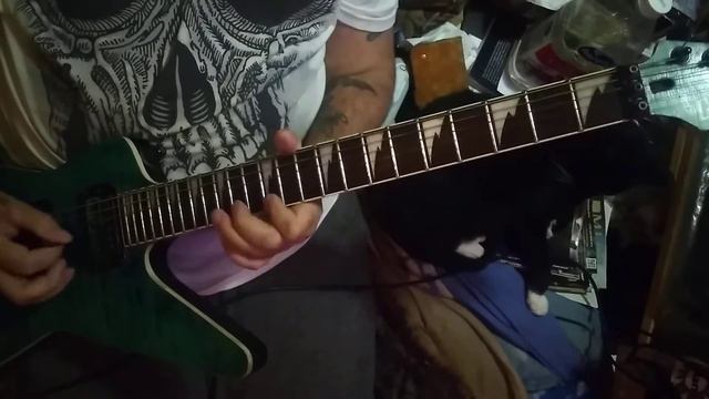 a tune I wrote. around 8 yrs ago. playing it on my hybrid Dean ML/ibanez RG/Custom Floyd Rose смотреть онлайн