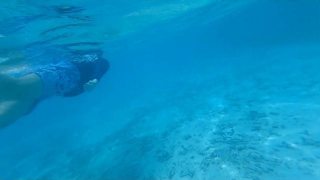 [Travel_Memories_Collection] Дайвинг на рифе отеля-острова Meeru Maldives
