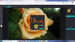 Pixlr Editor 2021, постеризация фотографий, инверсия и кривые