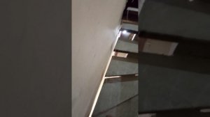 Лестница на центральном бетоном косоуре